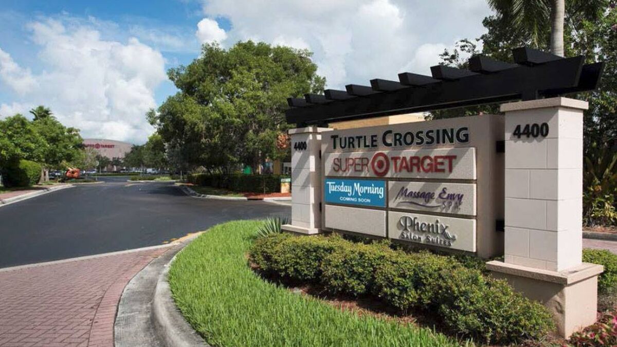 Turtle crossing